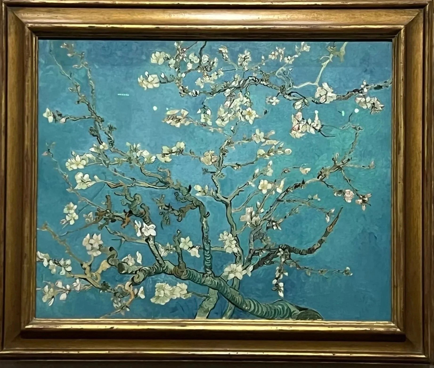   The famed Almond Blossoms  